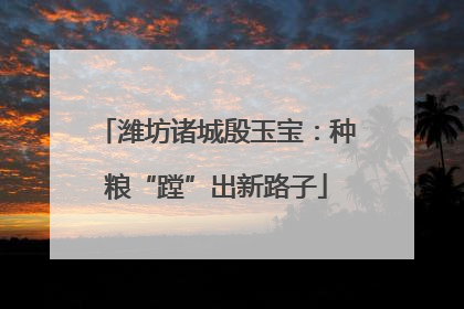 潍坊诸城殷玉宝：种粮“蹚”出新路子