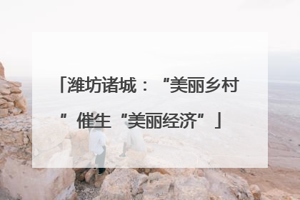 潍坊诸城：“美丽乡村”催生“美丽经济”
