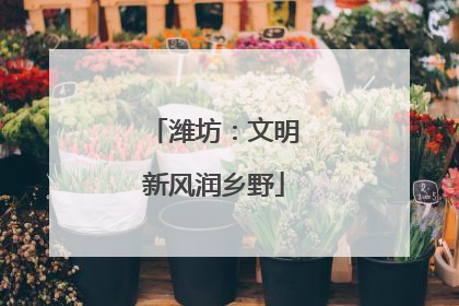 潍坊：文明新风润乡野