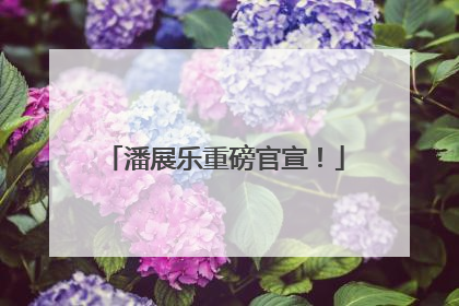 潘展乐重磅官宣！