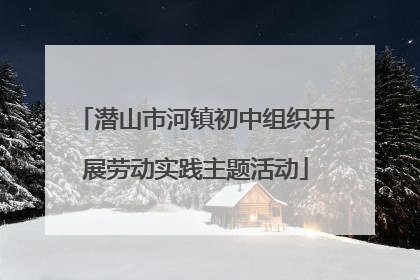 潜山市河镇初中组织开展劳动实践主题活动