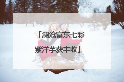 澜沧富东七彩紫洋芋获丰收