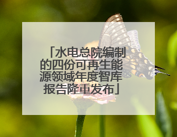 水电总院编制的四份可再生能源领域年度智库报告隆重发布
