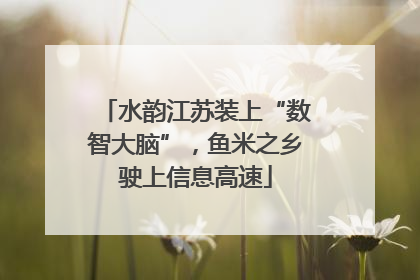 水韵江苏装上“数智大脑”，鱼米之乡驶上信息高速