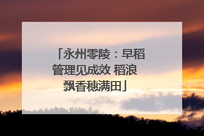 永州零陵：早稻管理见成效 稻浪飘香穗满田
