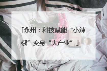 永州：科技赋能“小辣椒”变身“大产业”