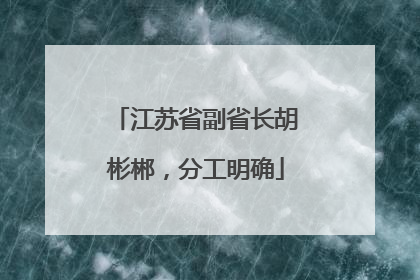 江苏省副省长胡彬郴，分工明确