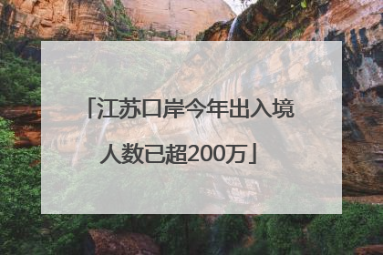江苏口岸今年出入境人数已超200万