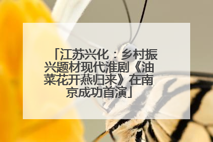 江苏兴化：乡村振兴题材现代淮剧《油菜花开燕归来》在南京成功首演