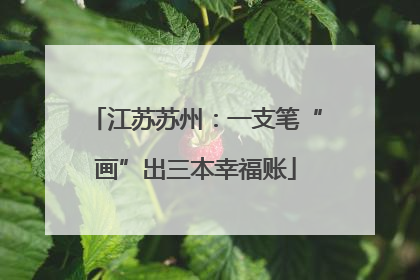 江苏苏州：一支笔“画”出三本幸福账