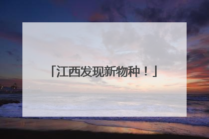 江西发现新物种！