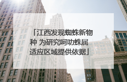 江西发现蜘蛛新物种 为研究呵叻蛛属适应区域提供依据