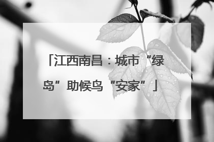 江西南昌：城市“绿岛”助候鸟“安家”