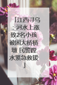 江西寻乌：河水上涨致2名小孩被困大桥桥墩 民警蹚水紧急救援
