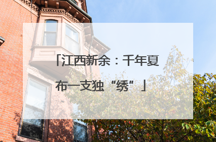 江西新余：千年夏布一支独“绣”