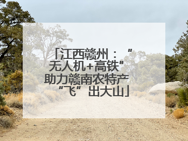 江西赣州：“无人机+高铁”助力赣南农特产“飞”出大山