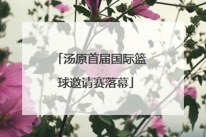 汤原首届国际篮球邀请赛落幕