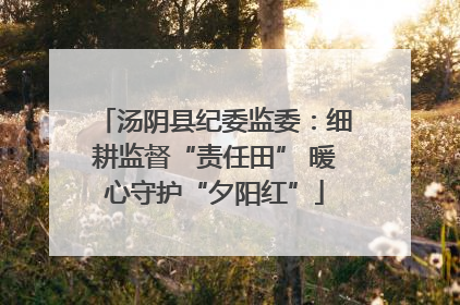 汤阴县纪委监委：细耕监督“责任田” 暖心守护“夕阳红”
