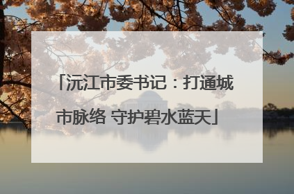 沅江市委书记：打通城市脉络 守护碧水蓝天