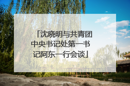 沈晓明与共青团中央书记处第一书记阿东一行会谈