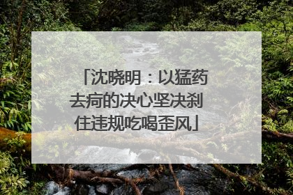 沈晓明：以猛药去疴的决心坚决刹住违规吃喝歪风