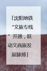 沈阳地铁“文旅专线”开通，跃动文商旅发展脉搏
