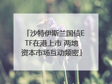 沙特伊斯兰国债ETF在港上市 两地资本市场互动频密