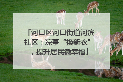 河口区河口街道河滨社区：凉亭“换新衣”，提升居民微幸福