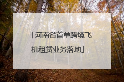 河南省首单跨境飞机租赁业务落地