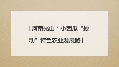 河南光山：小西瓜“撬动”特色农业发展路