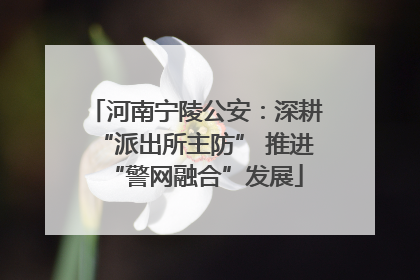河南宁陵公安：深耕“派出所主防” 推进“警网融合”发展
