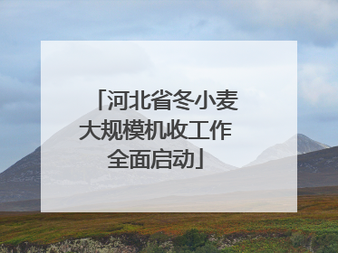 河北省冬小麦大规模机收工作全面启动
