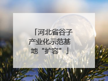 河北省谷子产业化示范基地“扩容”