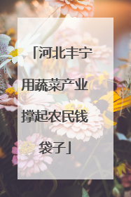 河北丰宁用蔬菜产业撑起农民钱袋子