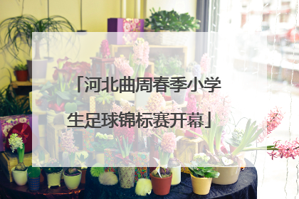 河北曲周春季小学生足球锦标赛开幕