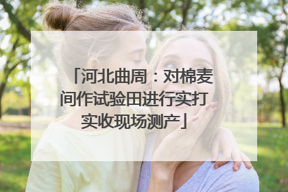 河北曲周：对棉麦间作试验田进行实打实收现场测产