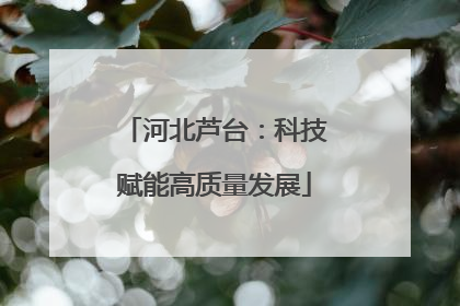 河北芦台：科技赋能高质量发展