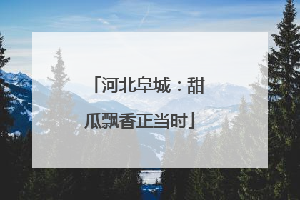 河北阜城：甜瓜飘香正当时