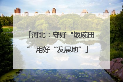 河北：守好“饭碗田” 用好“发展地”