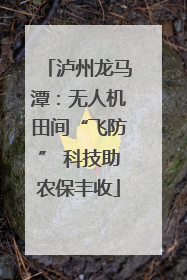 泸州龙马潭：无人机田间“飞防” 科技助农保丰收