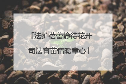 法护蓓蕾静待花开 司法育苗情暖童心