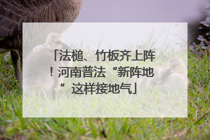 法槌、竹板齐上阵！河南普法“新阵地”这样接地气