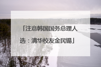 注意韩国国务总理人选：清华校友金民锡
