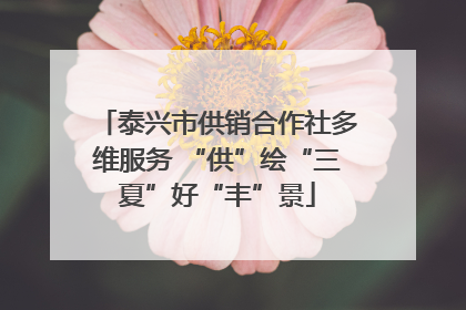 泰兴市供销合作社多维服务 “供”绘“三夏”好“丰”景