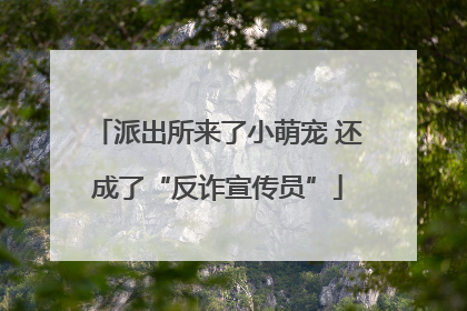派出所来了小萌宠 还成了“反诈宣传员”