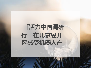 活力中国调研行｜在北京经开区感受机器人产业创新发展