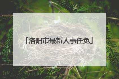 洛阳市最新人事任免