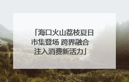海口火山荔枝夏日市集登场 跨界融合注入消费新活力