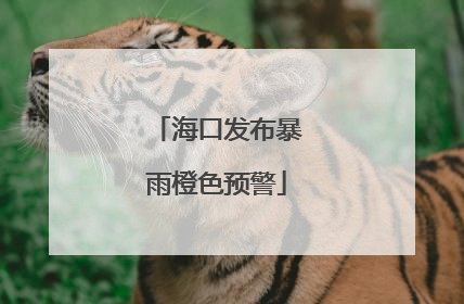 海口发布暴雨橙色预警