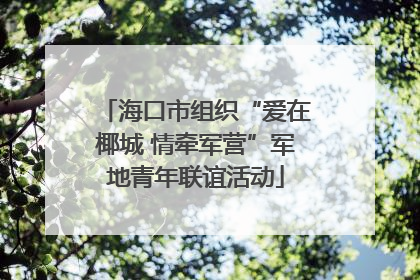 海口市组织“爱在椰城 情牵军营”军地青年联谊活动